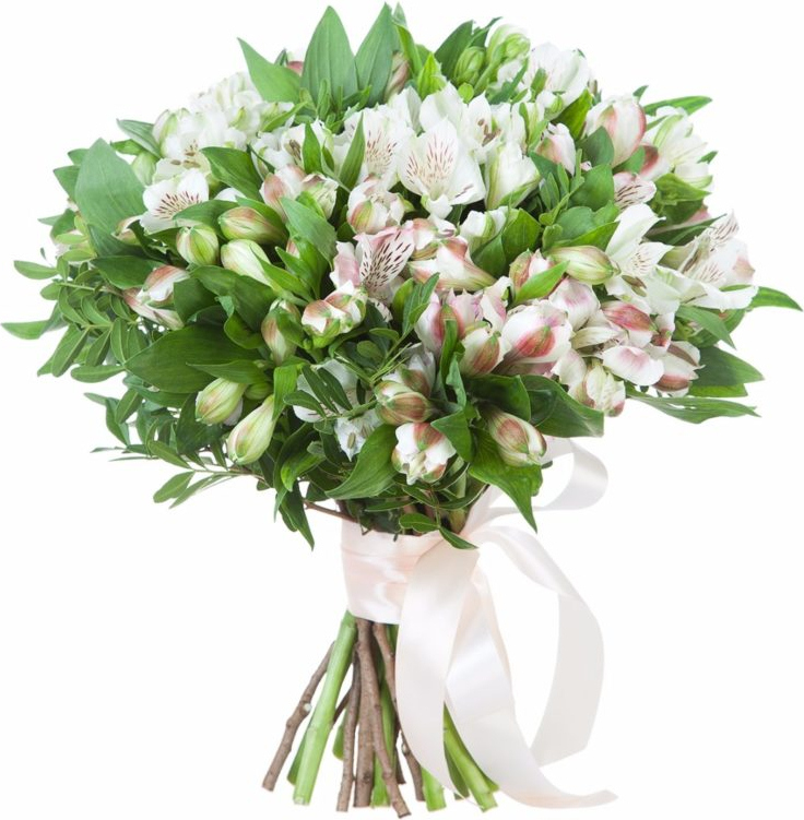 Белые альстромерии Белые альстромерии